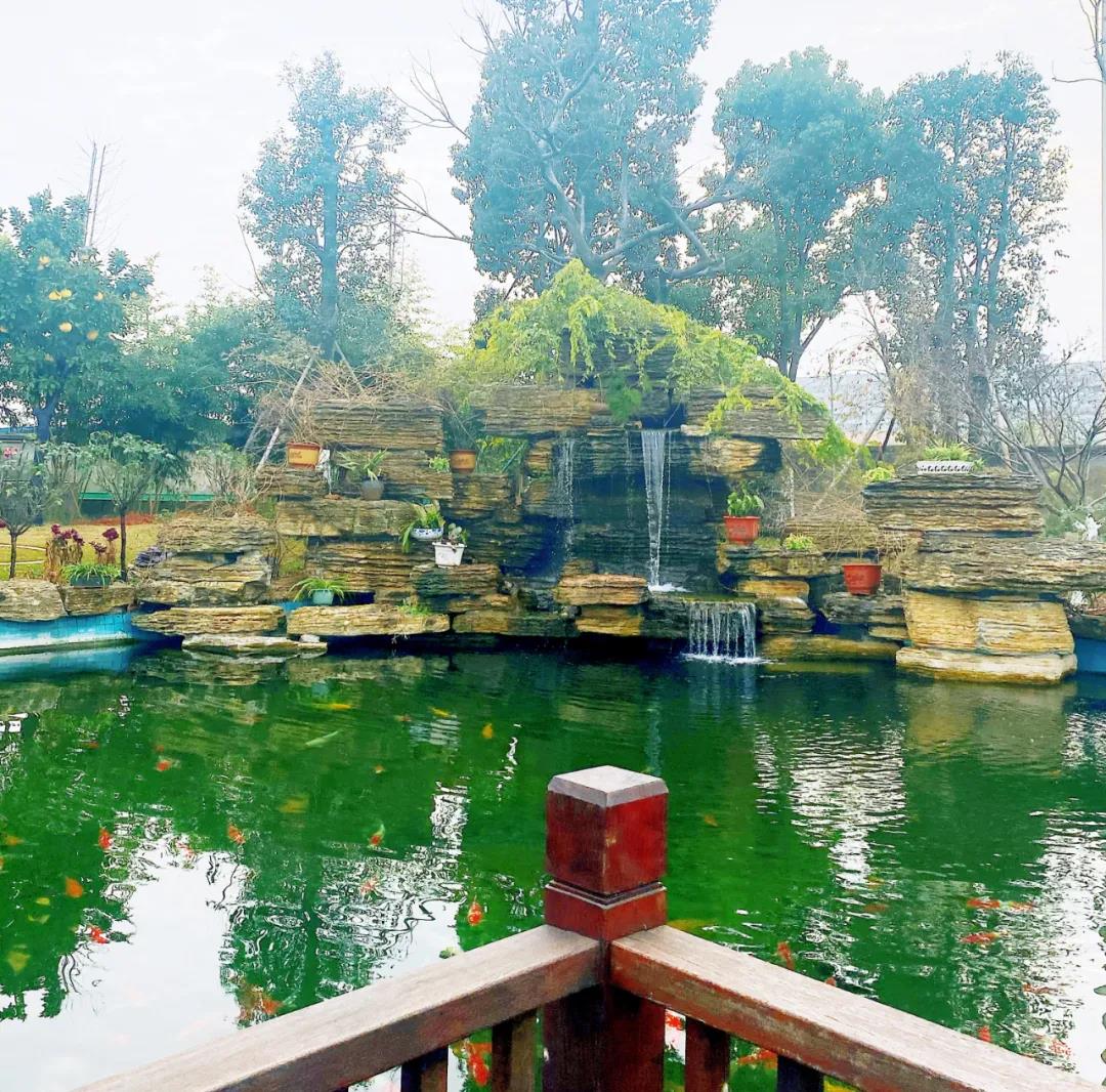 風(fēng)景這邊獨好！東大環(huán)境美景一覽，請查收